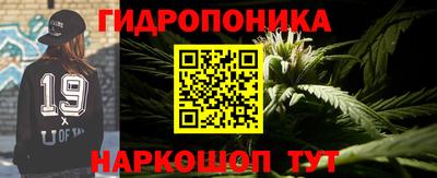 СК Лесосибирск