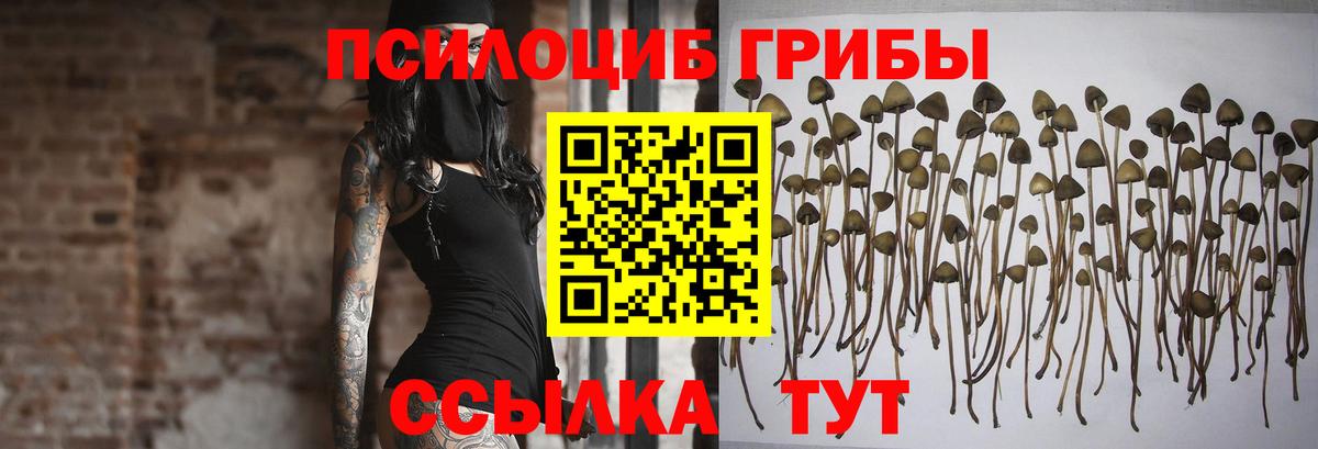 Галлюциногенные грибы Magic Shrooms Каменск-Шахтинский