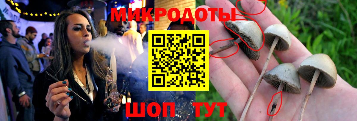 наркота  Вход с VPN  Каменск-Шахтинский  Галлюциногенные грибы ЛСД  Псилоцибиновые грибы ЛСД 